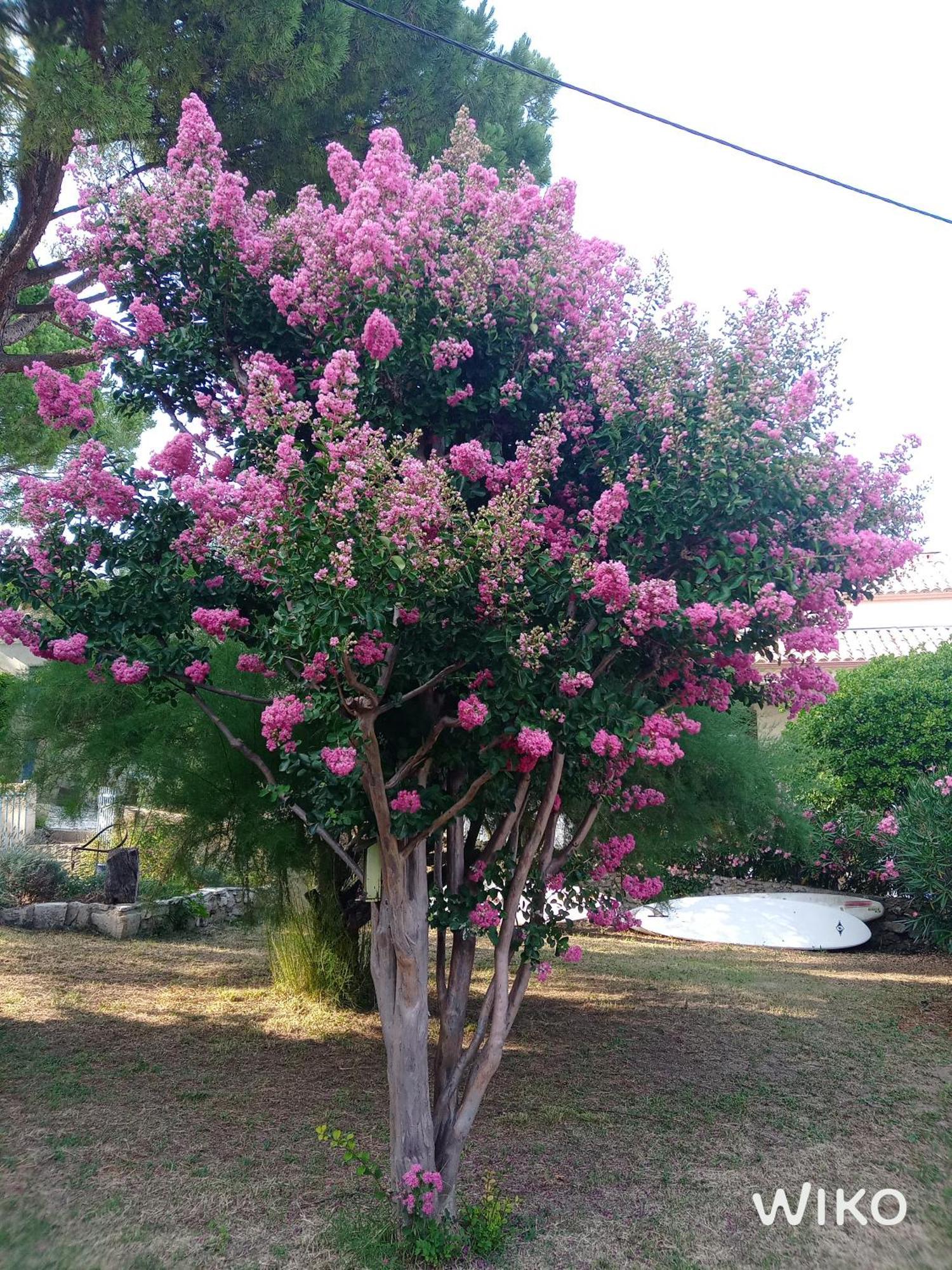 فيلا Au Fil De Soi Saint-Julien-de-Peyrolas المظهر الخارجي الصورة